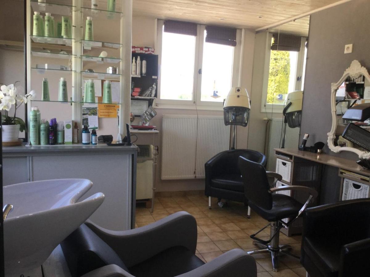 Gite De Belle Vue Semur-en-Brionnais Kültér fotó