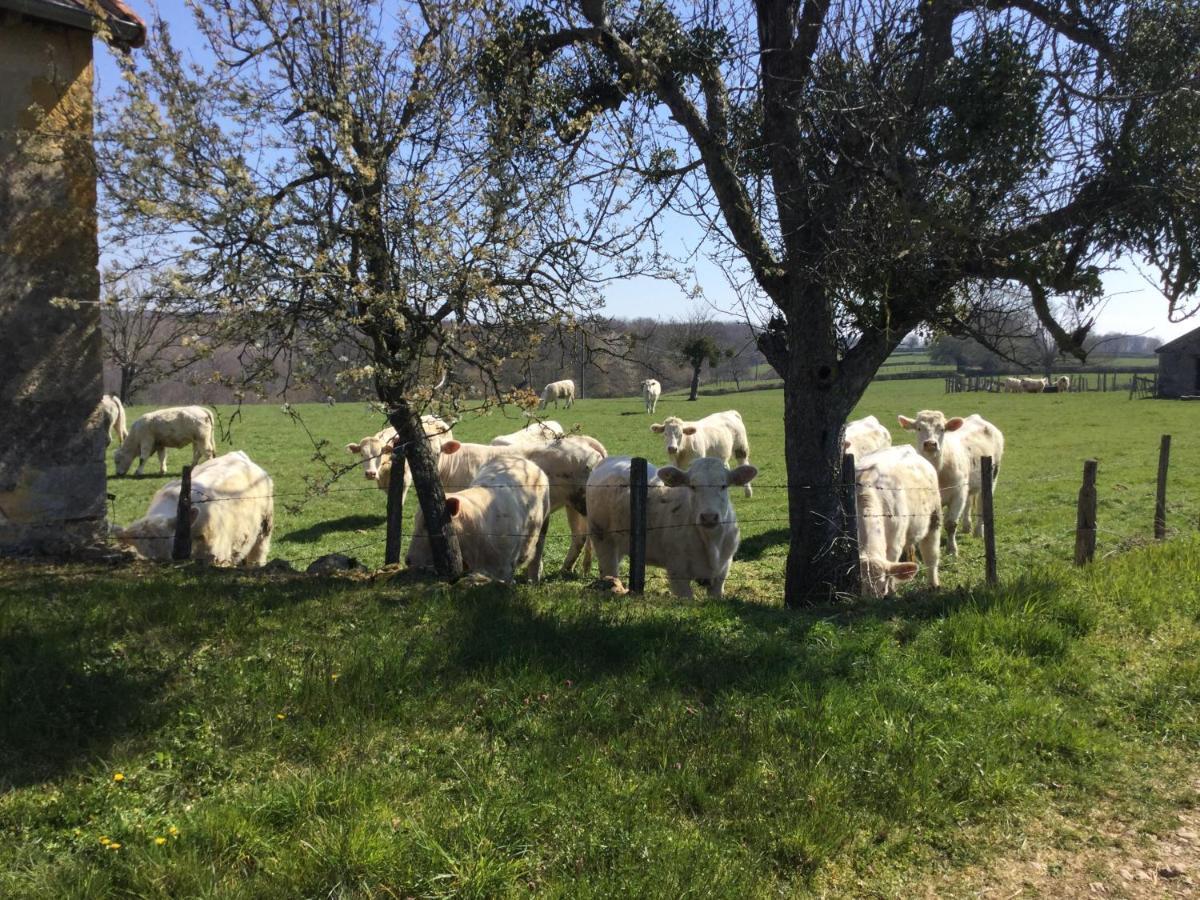 Gite De Belle Vue Semur-en-Brionnais Kültér fotó