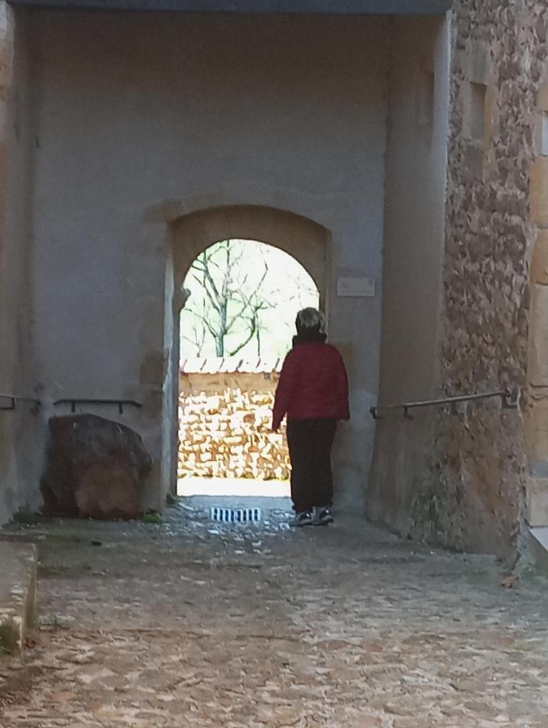 Gite De Belle Vue Semur-en-Brionnais Kültér fotó