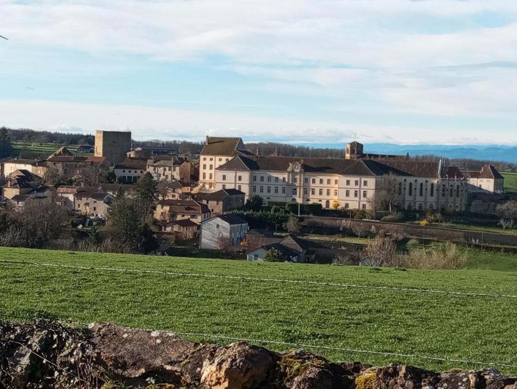 Gite De Belle Vue Semur-en-Brionnais Kültér fotó